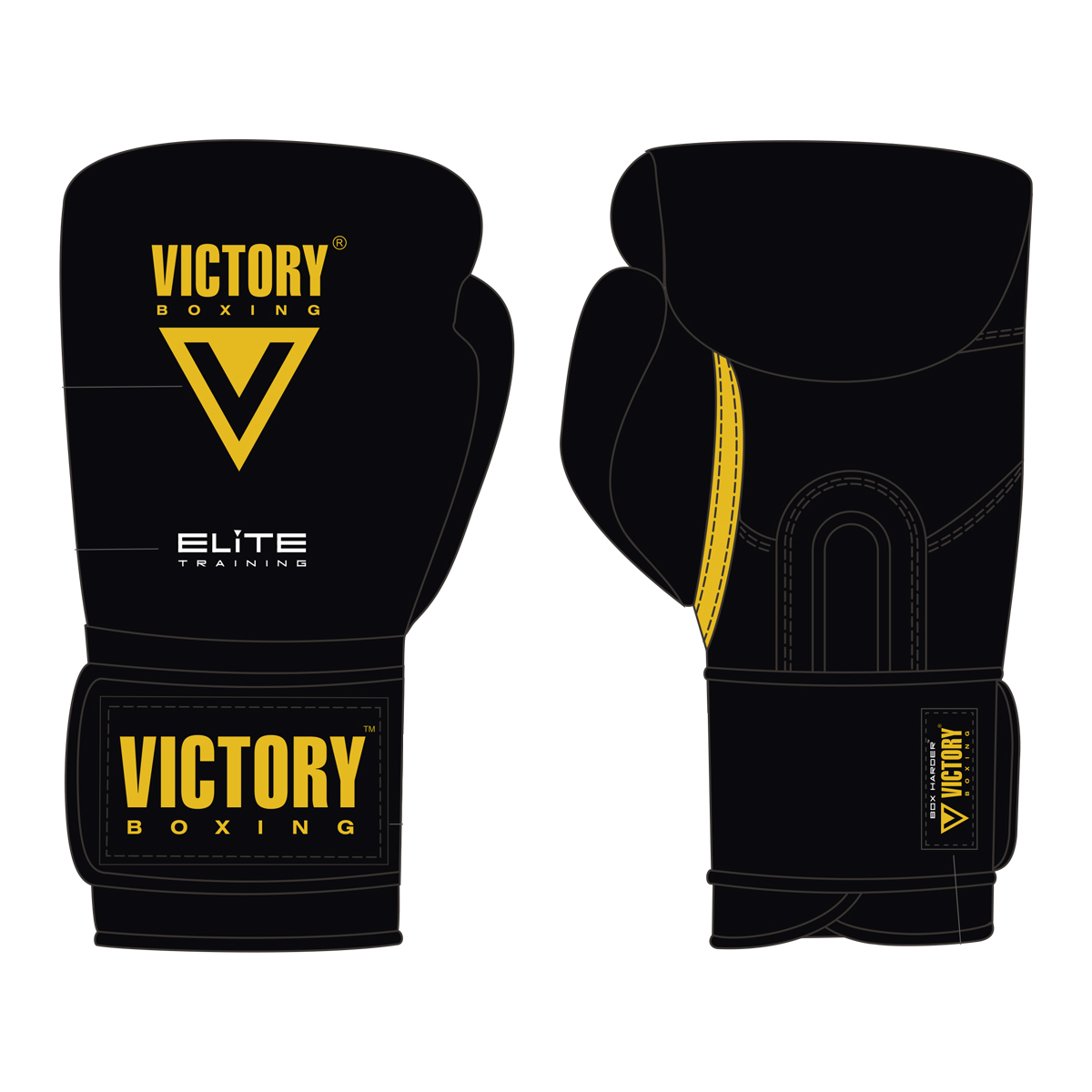 Pro Training Gloves (Velcro) – 12oz
